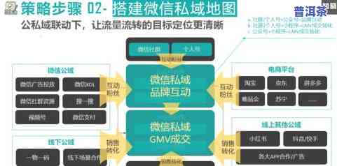 探究冰岛茶后期转化：方法与过程解析