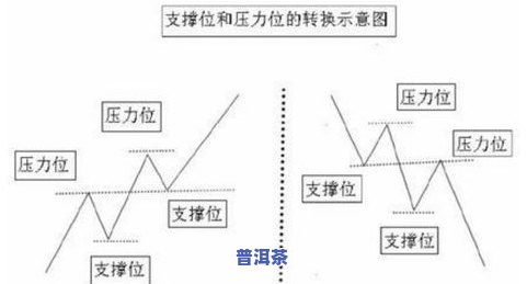 探究冰岛茶后期转化：方法与过程解析