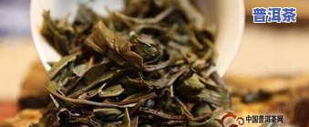 茯茶对比普洱茶的区别，揭秘茯茶与普洱茶的差异：一场口感与历史的较量