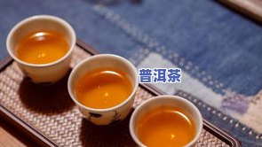 北方人喜欢喝什么茶叶，揭秘北方人的茶饮偏好：他们最喜欢喝什么茶叶？