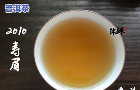 全面解析：老白茶与普洱茶的区别及特点