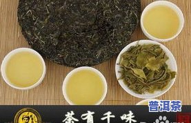 泉州普洱茶分类-福建泉州普洱茶