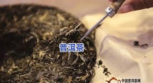 全面解析：生茶普洱茶的功效、作用及其禁忌