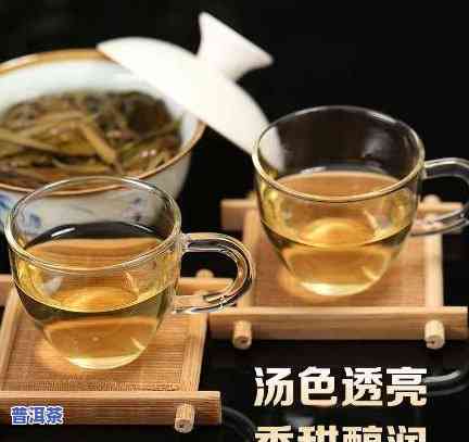 生茶普洱茶图片-生茶普洱茶图片大全