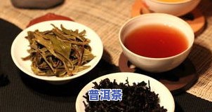 西双版纳特产普洱茶推荐：哪种更好喝？