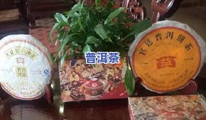 普洱茶501啥意思，揭秘普洱茶501：含义、产地及品鉴方法