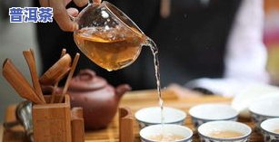 匠心造物茶叶的价位-匠心造物茶叶的价位是多少