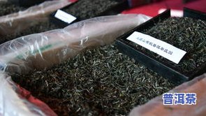 普洱茶是有机茶吗，探究普洱茶的有机认证：它是真正的有机茶吗？