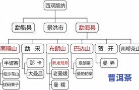 冰岛普洱茶介绍：产地、口感、等级全解析