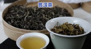 普洱茶什么茶苦-普洱茶什么茶最苦