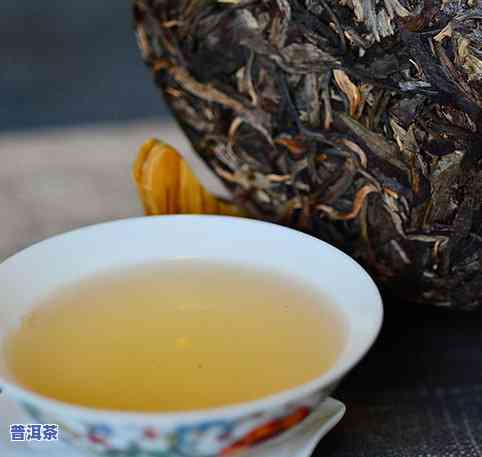 普洱茶什么茶苦-普洱茶什么茶最苦