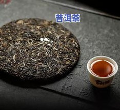 普洱茶85427582，探究普洱茶的魅力：以85427582为例