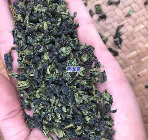 普洱茶金芽料：什么茶种？好在哪里？原料介绍