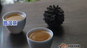 全程教学：小龙珠普洱茶手工制作视频教程