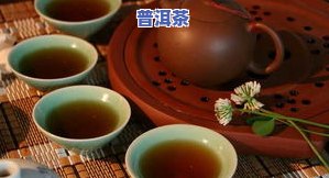 喝普洱茶都是什么人，探究普洱茶的消费人群：他们是谁？