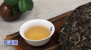 同元号普洱茶-同元普洱茶