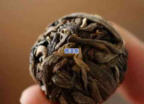 小龙珠普洱茶手工制作教程图解，「手工制作」小龙珠普洱茶详细教程及步骤图解