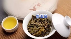 昔元普洱茶：地理位置、品质特点及价格全解析