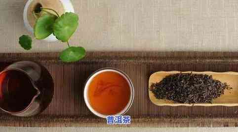 深入了解普洱茶的制作工艺：从鲜叶采摘到成品茶的全过程