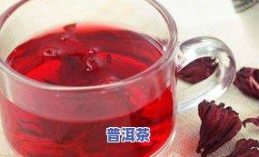 什么茶叶适合天天喝-什么茶叶适合天天喝常年喝