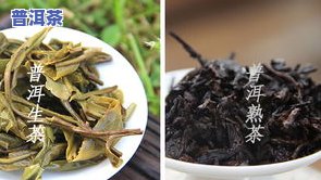 普洱茶砖是生的还是熟的，普洱茶砖：它是生的还是熟的？