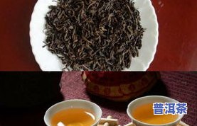 黑普洱茶的优势和缺点是什么，深度解析：黑普洱茶的优势与不足之处