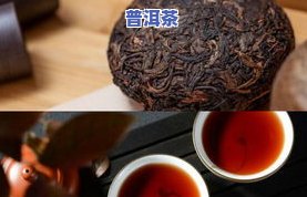 黑普洱茶的优势和缺点是什么，深度解析：黑普洱茶的优势与不足之处