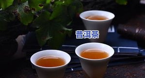 乐仁堂普洱茶-乐仁堂普洱茶怎么样