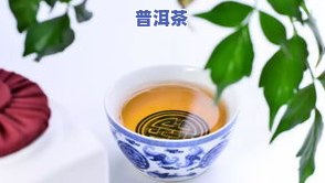 购买藏普洱茶生茶-普洱茶藏生茶还是熟茶