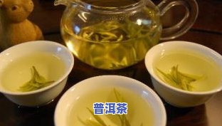 哪种茶叶最适合冬天饮用？详解不同茶叶的冬日选择