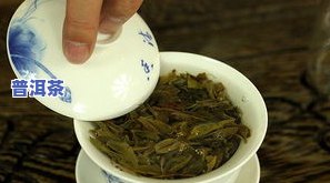 散的生茶是普洱茶吗怎么喝-散的生茶是普洱茶吗怎么喝好