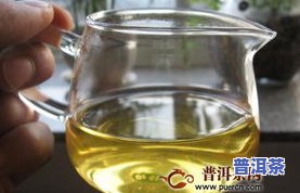 探究冰岛古树茶香气：特点与特征