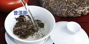 普洱茶哪个牌子好收藏？价格亲民又美味，值得投资！