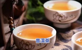 老茶普洱茶图片-老茶普洱茶图片大全