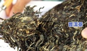 云南普洱茶紫茶：功效与介绍