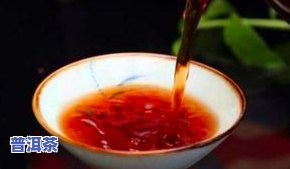 普洱茶能坏不-普洱茶能坏吗