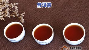 普洱熟茶的产地，探索普洱熟茶的产地：一场味蕾与文化的旅行