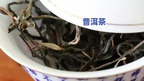 怎么品尝普洱茶的香味，品味普洱茶：怎样欣赏其特别的香气？