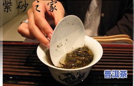 怎么品尝普洱茶的香味，品味普洱茶：如何欣赏其独特的香气？