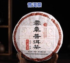 普洱茶相关知识点，深入解析：普洱茶的相关知识与品鉴技巧