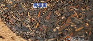 普洱茶红：特点与介绍