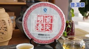 普洱茶哪个牌子好？视频讲解大全来帮你！