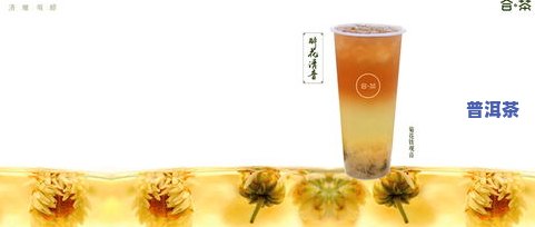 深入探索普洱茶产品特色：从原料到口感的全面解析