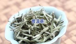 冰岛白茶属什么茶种，探秘冰岛白茶：属于哪种茶种？