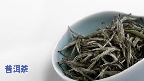 冰岛白茶属什么茶种，探秘冰岛白茶：属于哪种茶种？