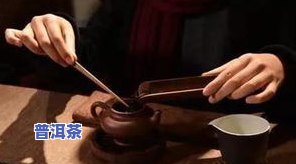 买普洱茶时，你需要留意哪些关键要素？