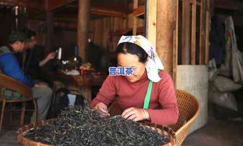 布朗茶祖普洱茶-布朗茶祖节