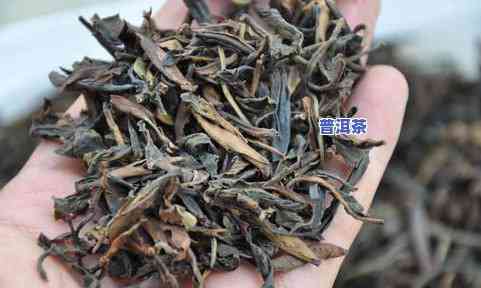 冰岛古树散茶哪种好一点，比较推荐：冰岛古树散茶哪款更好？