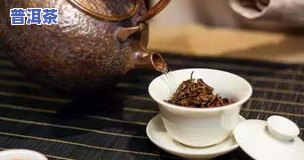 冰岛古树散茶哪种好-冰岛古树散茶哪种好喝