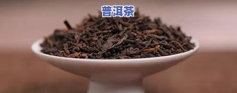 冰岛古树散茶哪种好-冰岛古树散茶哪种好喝